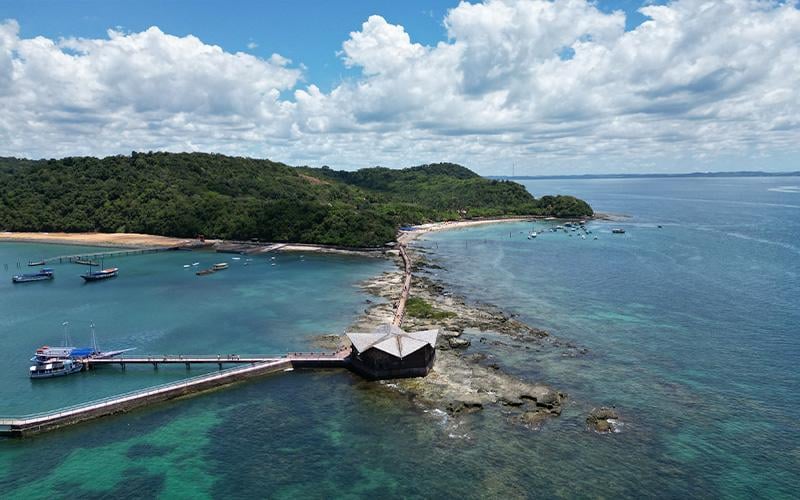 Ilha dos Frades - Catamarã com Transfer
